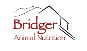Graphic Illustration Logo design for Bridger Animal Nutrition Bozeman Montana