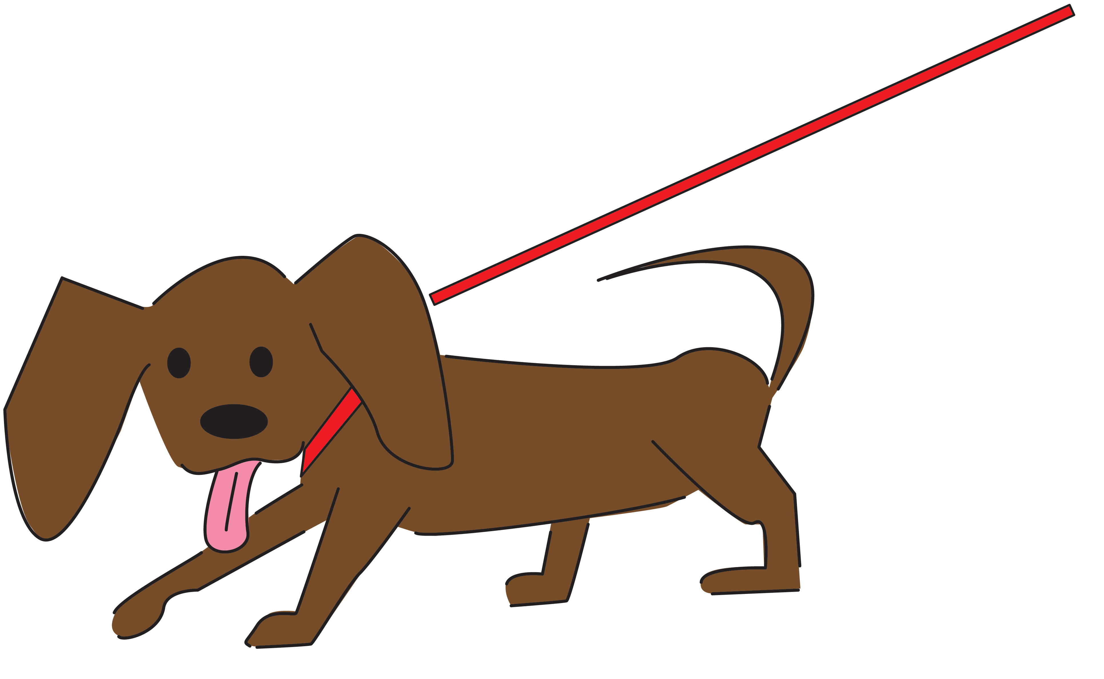 dog on leash illustration
