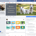 Facebook Page Management Services
