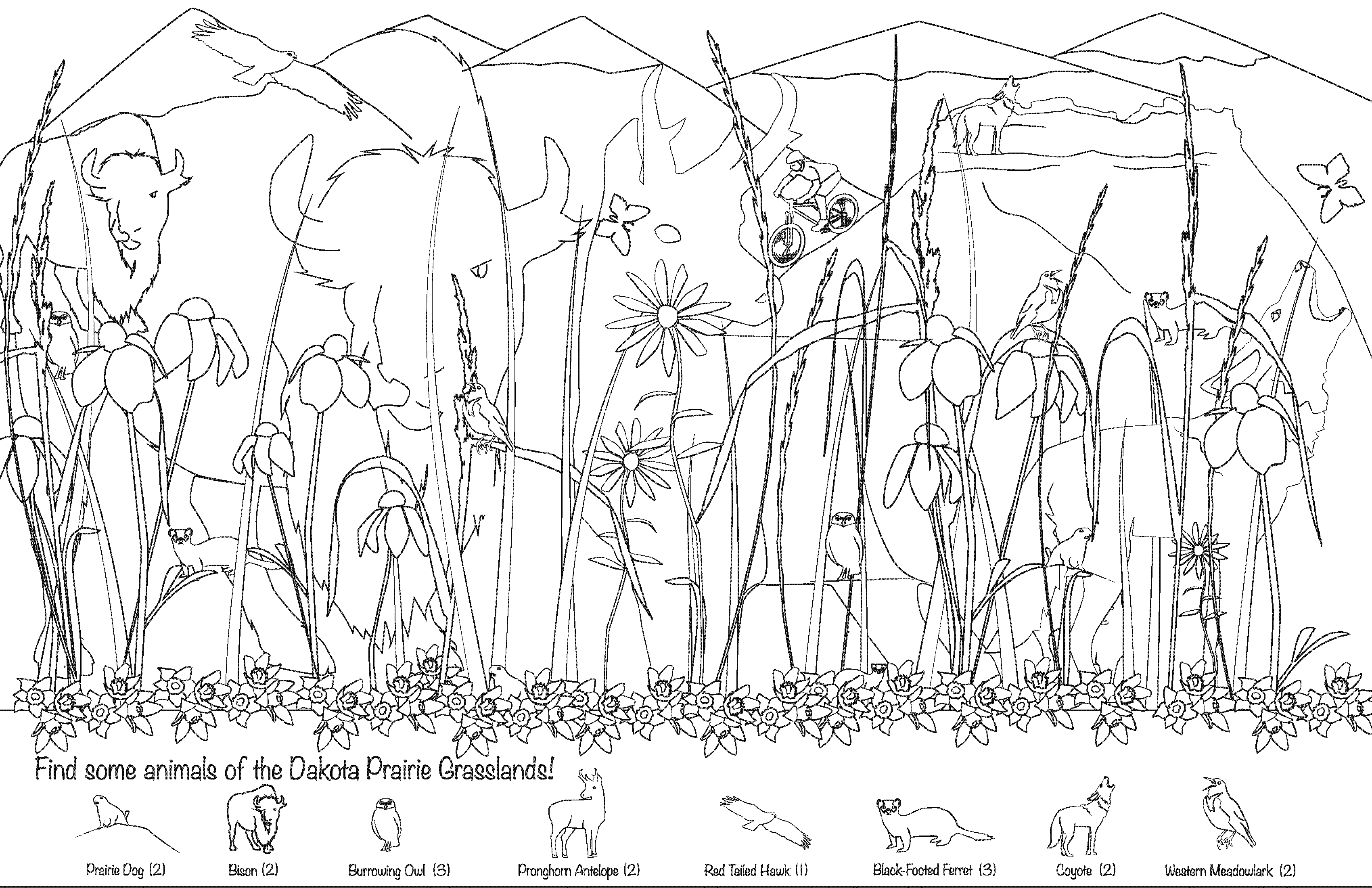 Illustration and Graphic design of hidden animals coloring page