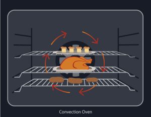 Convection-Oven-illustration