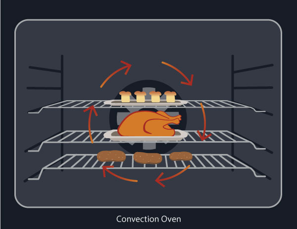 Convection-Oven-illustration