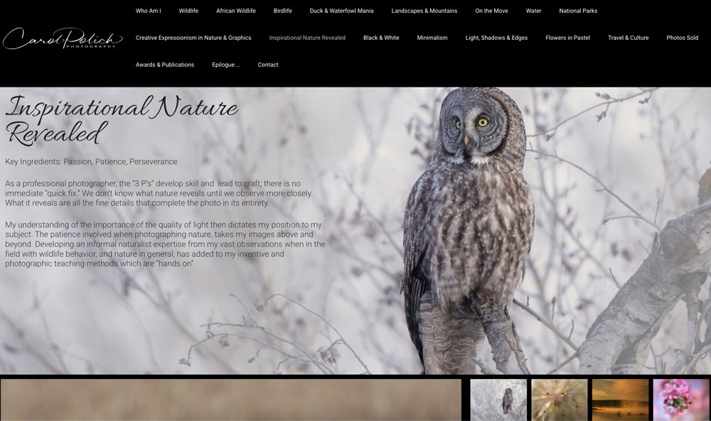 photography website home page